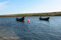 Curraghs at anchor